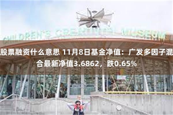 股票融资什么意思 11月8日基金净值：广发多因子混合最新净值3.6862，跌0.65%