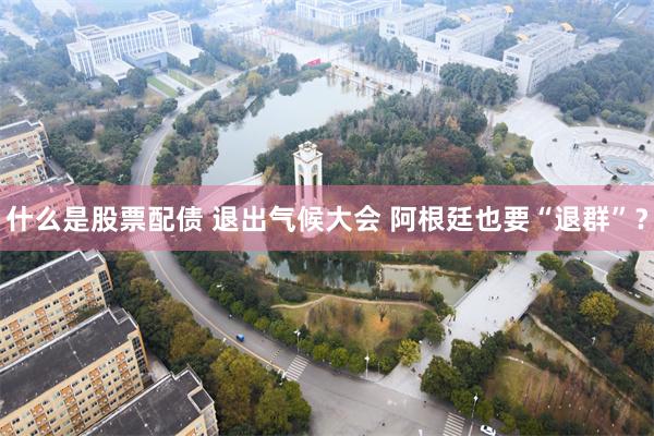 什么是股票配债 退出气候大会 阿根廷也要“退群”？