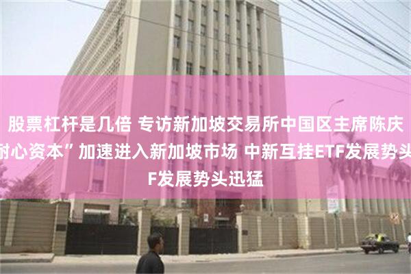 股票杠杆是几倍 专访新加坡交易所中国区主席陈庆：“耐心资本”加速进入新加坡市场 中新互挂ETF发展势头迅猛