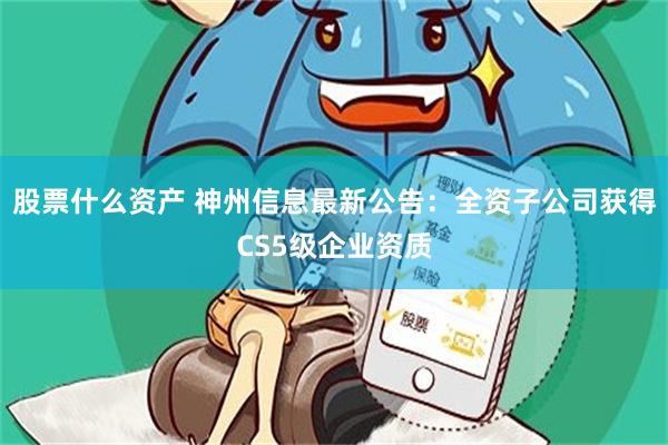 股票什么资产 神州信息最新公告：全资子公司获得CS5级企业资质