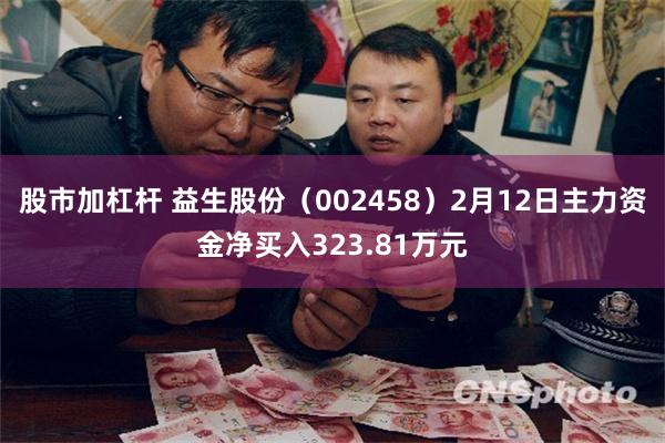 股市加杠杆 益生股份（002458）2月12日主力资金净买入323.81万元