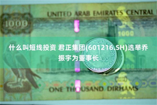 什么叫短线投资 君正集团(601216.SH)选举乔振宇为董事长