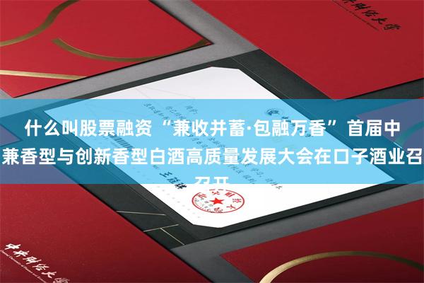 什么叫股票融资 “兼收并蓄·包融万香” 首届中国兼香型与创新香型白酒高质量发展大会在口子酒业召开