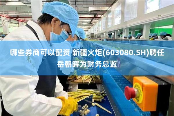 哪些券商可以配资 新疆火炬(603080.SH)聘任岳朝晖为财务总监