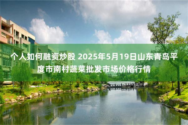 个人如何融资炒股 2025年5月19日山东青岛平度市南村蔬菜批发市场价格行情