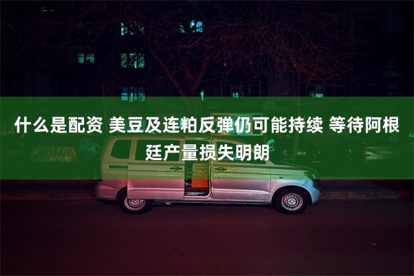 什么是配资 美豆及连粕反弹仍可能持续 等待阿根廷产量损失明朗