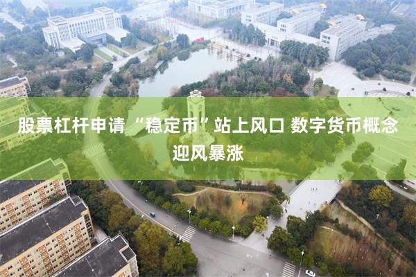 股票杠杆申请 “稳定币”站上风口 数字货币概念迎风暴涨