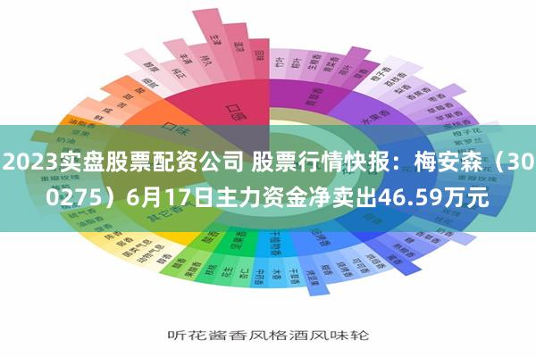 2023实盘股票配资公司 股票行情快报：梅安森（300275）6月17日主力资金净卖出46.59万元