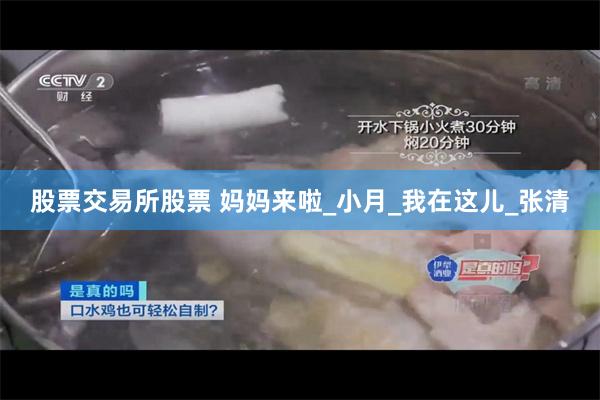 股票交易所股票 妈妈来啦_小月_我在这儿_张清