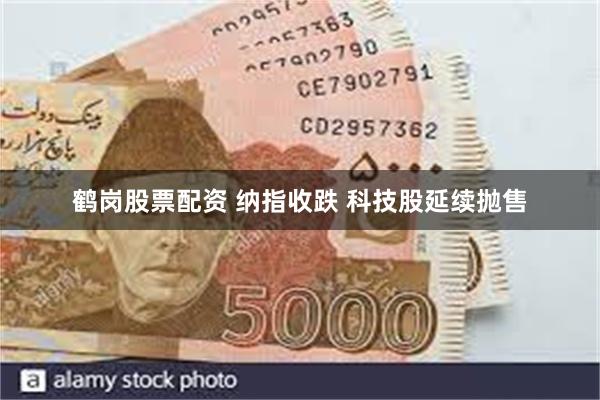 鹤岗股票配资 纳指收跌 科技股延续抛售