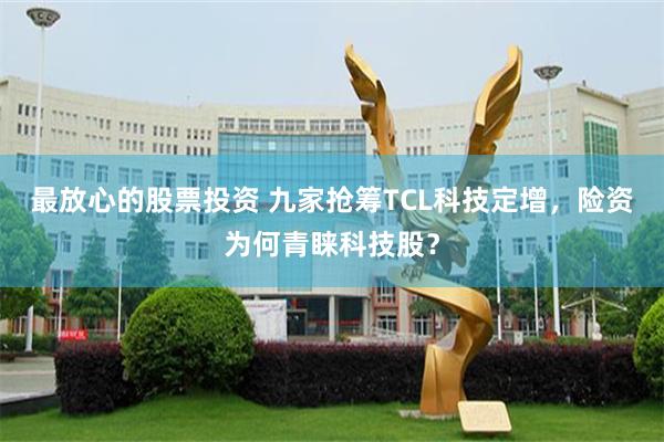 最放心的股票投资 九家抢筹TCL科技定增，险资为何青睐科技股？