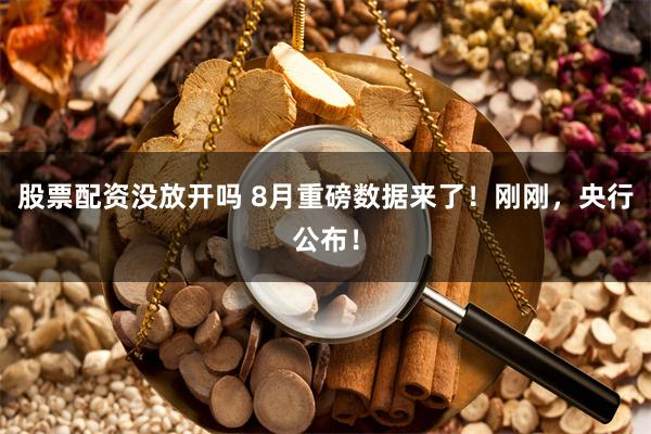 股票配资没放开吗 8月重磅数据来了！刚刚，央行公布！